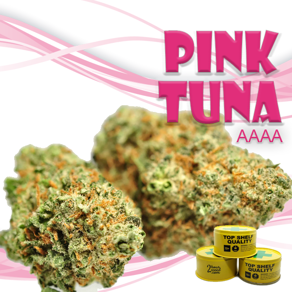 LONDON ONLY — *NEW* Pink Tuna 14g AAAA (CANNED) Weed The Best
