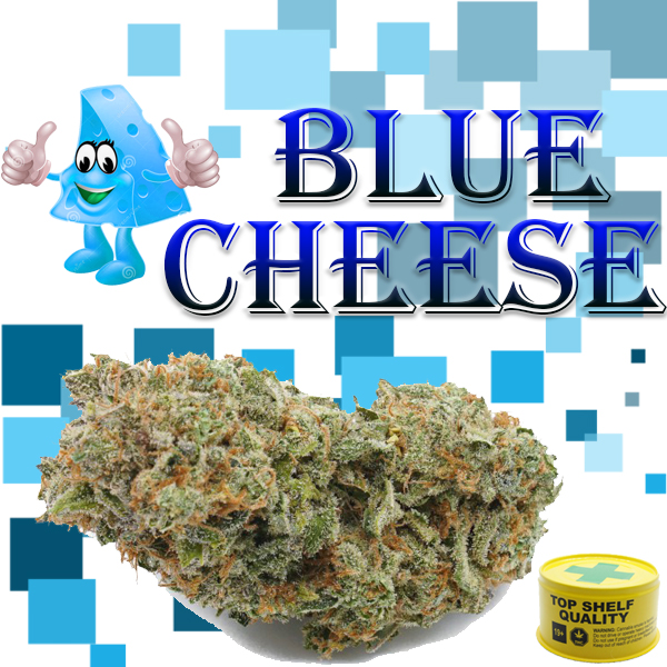 Blue Cheese (AAAA) 14 Grams “CANNED” Weed The Best
